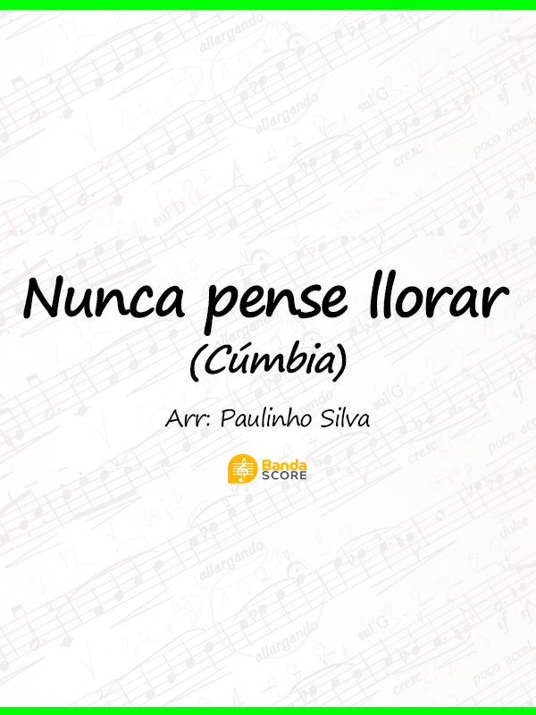 NUNCA PENSE LLORAR